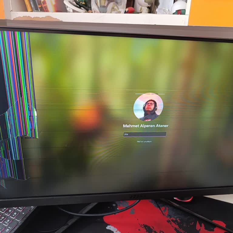 Garanti Kapsamında Monitör Ekran Değişimi İçin Yüksek Ücret Ve Yetersiz Destek