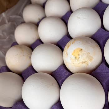 BİMden Aldığım Yumurtalar Küflü Çıktı Mağduriyetimin Giderilmesini İstiyorum