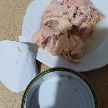 Ton Balığı Konservesinden Sinek Çıktı, Müşteri Hizmetleri Yanıt Vermiyor