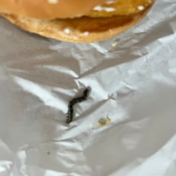 Bozuk Ve Kurtlu Ürünler, Yetersiz Müşteri Hizmeti Ve Ücret İadesi Talebi