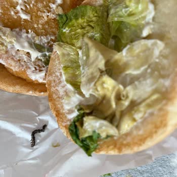 Bozuk Ve Kurtlu Ürünler, Yetersiz Müşteri Hizmeti Ve Ücret İadesi Talebi