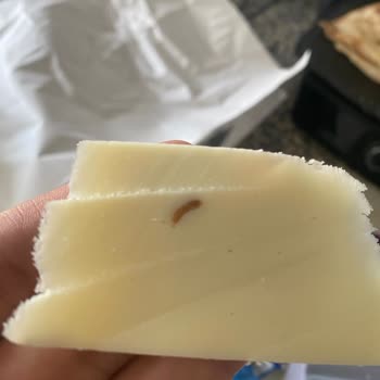 İçim Tost Peynirinde Yabancı Cisim Şoku: Açıklama Ve Ürün Değişimi Talebi