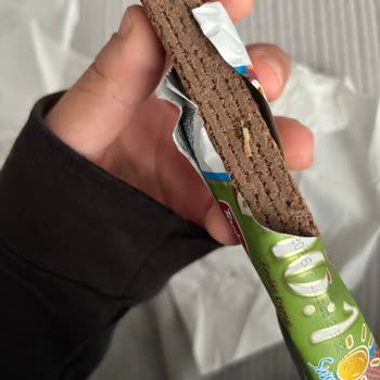 Torku Çikolatadan Kurt Çıkması Ve Mağduriyetim