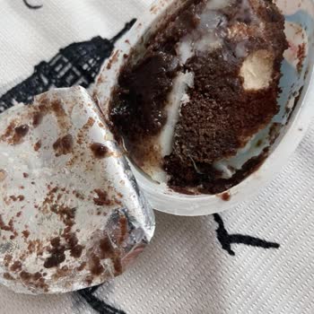 Yeni Alınan Ozmo Cook Egg Ürününde Küf Ve Bozulma Sorunu Yaşadım