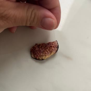 Kuru İncir Paketinden Saç Çıktı, Hijyen Ve Güven Sorunu Yaşadım