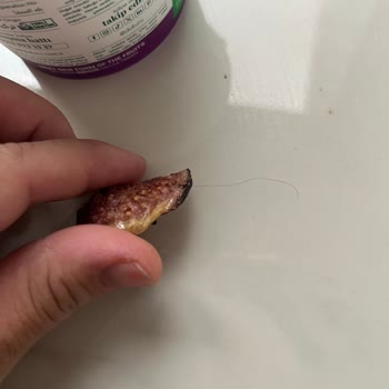 Kuru İncir Paketinden Saç Çıktı, Hijyen Ve Güven Sorunu Yaşadım