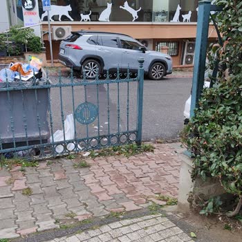 Acil Durumda Veterinerden Beklenen Yardım Sağlanmadı