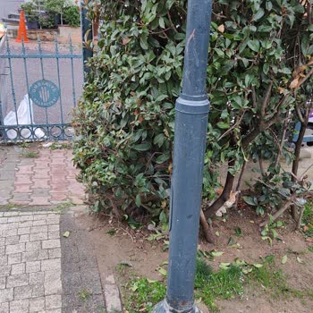 Acil Durumda Veterinerden Beklenen Yardım Sağlanmadı