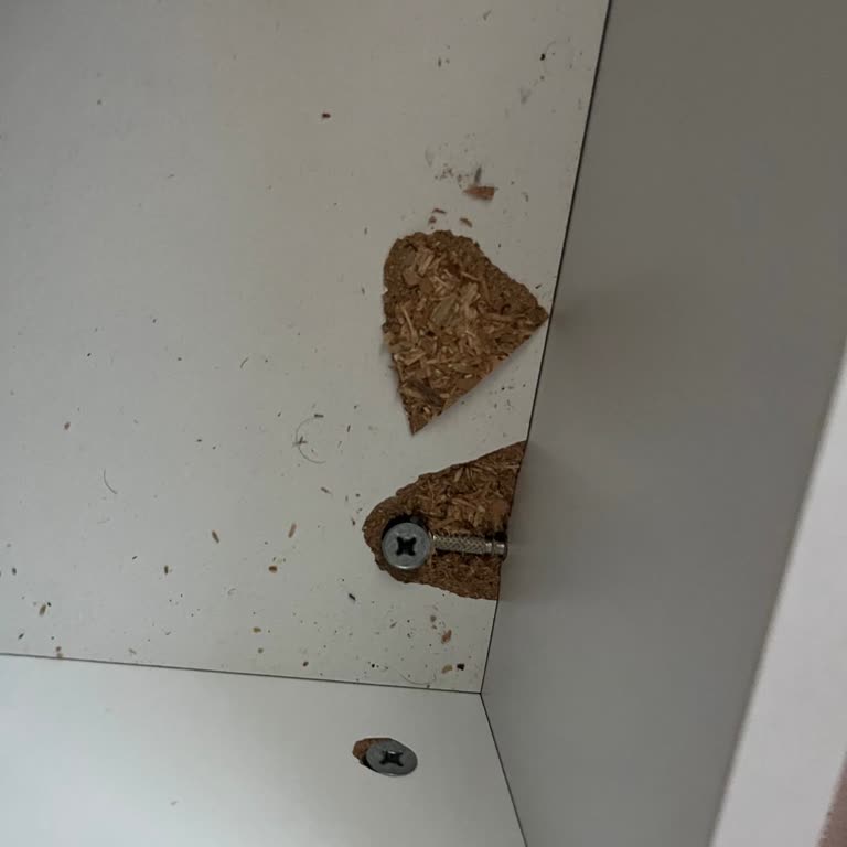 Satın Aldığım Montessori Yatakta Kısa Sürede Çökme Ve Firmanın Çözüm Sunmaması