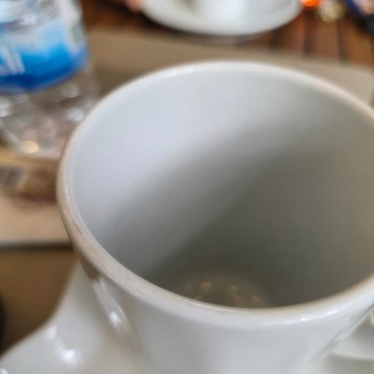 Kaba Davranış, Hijyen Eksikliği Ve Yetersiz Hizmet