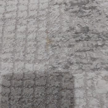 Halı Yıkama Sonrası Lekeler Ve İlgisiz Hizmetle Mağduriyet Yaşadım