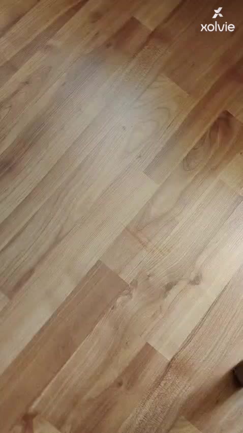 My Roborock V8 Ultra Water Leakage Problem video cover