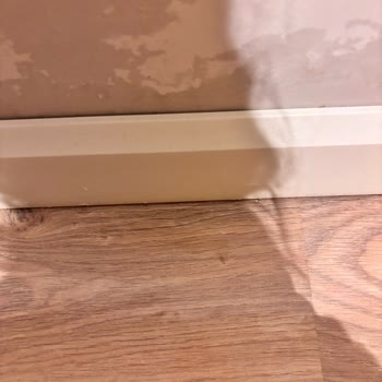 Sur Yapı Su Sızıntısı ve Oluşan Hasarların Garanti Kapsamında Onarılmasını Talep Ediyorum