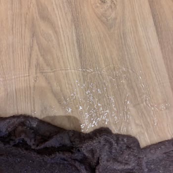 Sur Yapı Su Sızıntısı ve Oluşan Hasarların Garanti Kapsamında Onarılmasını Talep Ediyorum