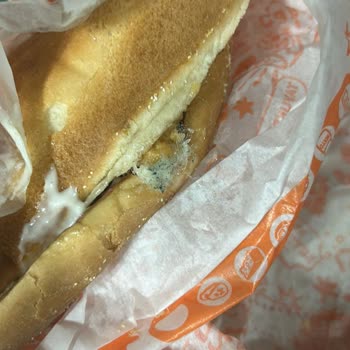 Küflü Ürün Nedeniyle Sağlığım Tehlikeye Atıldı, İade Talebim Reddedildi