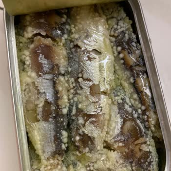 Dardanel Sardalya Konservesi Küflü Çıktı, Hayal Kırıklığı Yaşadım