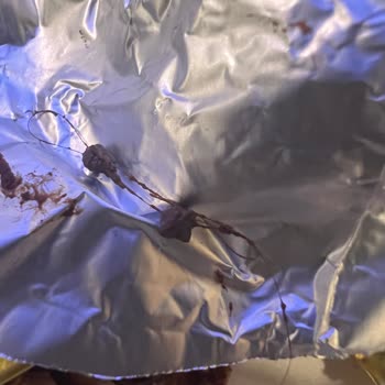 Çikolatadan Saç Çıkması Ve Firmadan Dönüş Alamamak