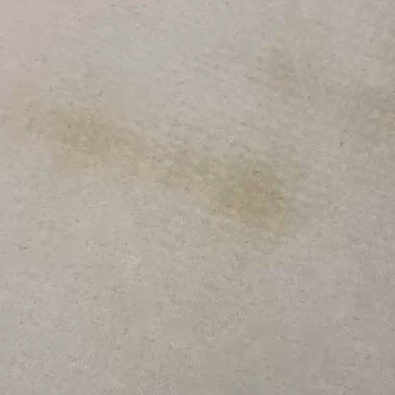 Halı Yıkama Sonrası Lekeler Çıkmadı Firma Geri Dönüş Yapmıyor