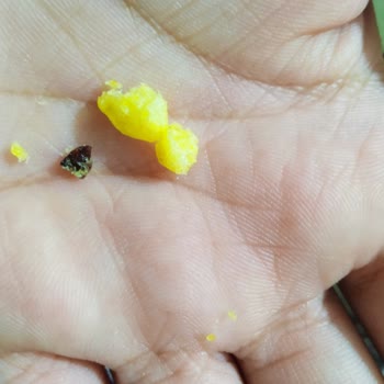 Mini Cheetos Paketinden Şüpheli Cisim Çıktı!