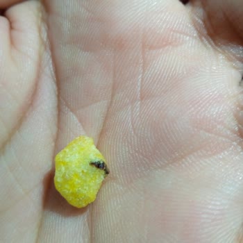 Mini Cheetos Paketinden Şüpheli Cisim Çıktı!