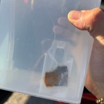 Elektrofoni Robot Süpürge Tamir Edilmeden İade Edildi, Para Ve Güç Kablosu Kayıp!