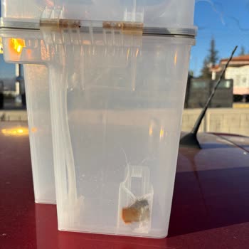 Elektrofoni Robot Süpürge Tamir Edilmeden İade Edildi, Para Ve Güç Kablosu Kayıp!