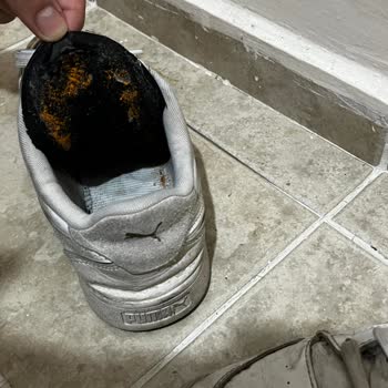 FLO Mağazasından Aldığım Puma Ayakkabı 6 Ayda Dağıldı, Mağaza Müdüründen Kaba Davranış