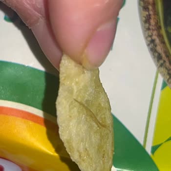 Lays Cips Paketinde Yabancı Maddeyle Karşılaştım, Değişim Veya İade Talep Ediyorum