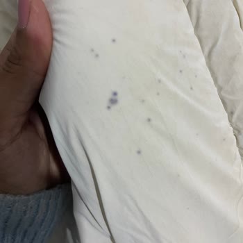 Mavi Montumda Beklenmedik Küflenme Sorunu Ve Ürün Değişim Talebi