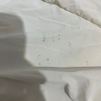 Mavi Montumda Beklenmedik Küflenme Sorunu Ve Ürün Değişim Talebi