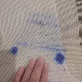 Halı Temizliği Sonrası Lekeler Ve İlgisiz Hizmet