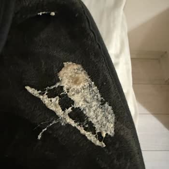 Bebelac Gold 3 Mama Kötü Koktu Bebeğimiz Hastanelik Oldu