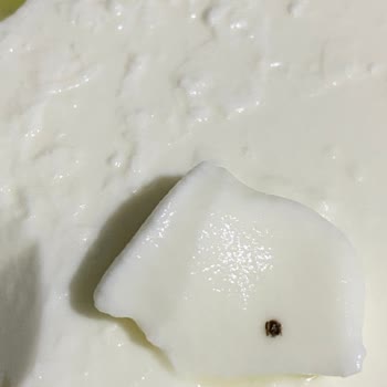 Yoğurtta Ezilmiş Böcek Şoku: Ücret İadesi Ve Açıklama Bekliyorum