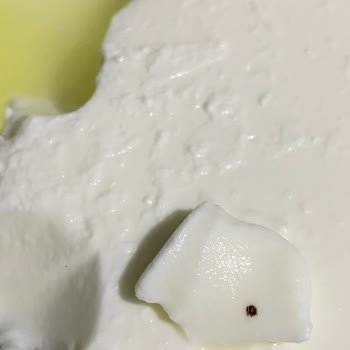 Yoğurtta Ezilmiş Böcek Şoku: Ücret İadesi Ve Açıklama Bekliyorum