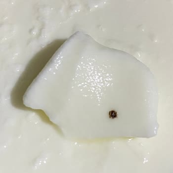 Yoğurtta Ezilmiş Böcek Şoku: Ücret İadesi Ve Açıklama Bekliyorum