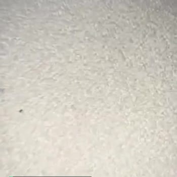 Çetmen Mobilya Kusurlu Malzeme/ Böcekli/ Kurtlanmış Koltuk