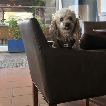 Hayatını Kurtarmadıkları Gibi Acısını da Dindirmediler