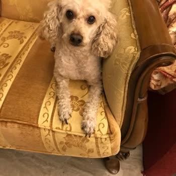 Hayatını Kurtarmadıkları Gibi Acısını da Dindirmediler