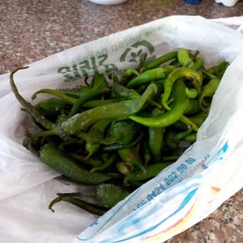 Yeni Alınan Buzdolabı Tüm Gıdaları Donduruyor, Kullanamıyorum