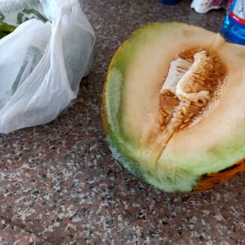 Yeni Alınan Buzdolabı Tüm Gıdaları Donduruyor, Kullanamıyorum