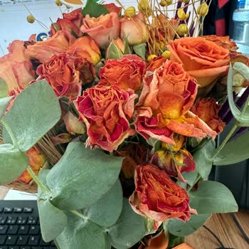 Aynı Gün Kuruyan Çiçek İçin Çözüm Talebi