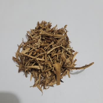 Camel Yellow Tütününde Kalite Sorunu Ve Müşteri Hizmetlerine Ulaşamama