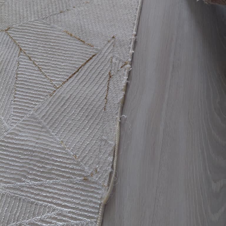 Dostlar Halı Yıkama Yanılttı