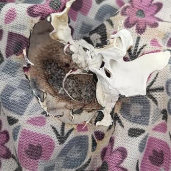 Tost Makinesi Yandı, Halım Zarar Gördü Ve Mağduriyetim Giderilmiyor