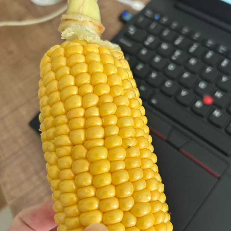 Aldığım Haşlanmış Mısırdan Böcek Çıktı, Hijyen Ve Sağlık Endişesi Yaşadım