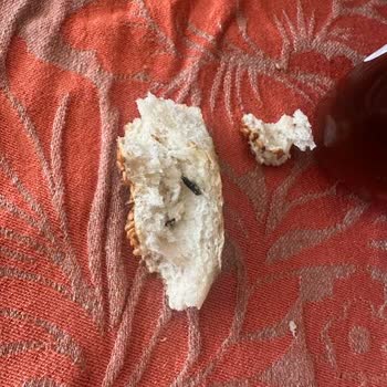 Dondurulmuş Simitte Böcek Çıkması Ve İade Sürecinde Gecikme