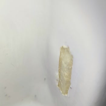 Vestel Buzdolabımda Raf Tutucularının Kırılması Ve Dayanıklılık Sorunu