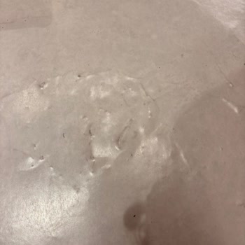 Our Floor Garanti Süresi İçinde Yaşanan Mağduriyet!