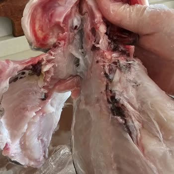 Metro Marketten Alınan Balıkların İyi Temizlenmemesi Hayal Kırıklığı Yarattı