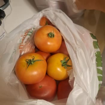 İade Hakkı Ve Müşteri Desteği Yetersizliği Mağduriyet Yaşattı